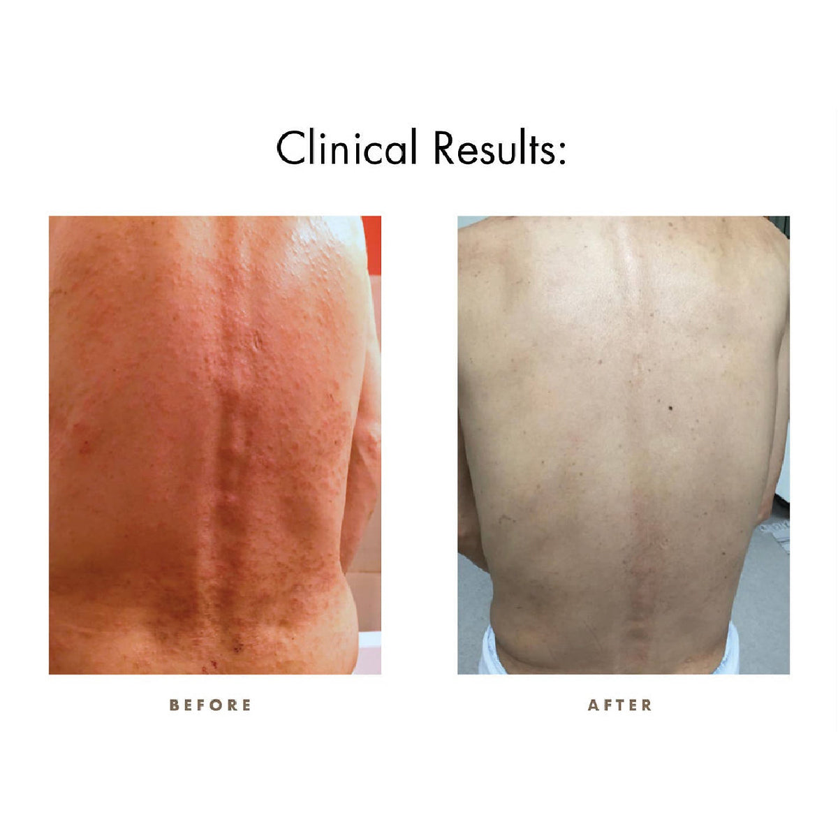 CamWell Botanical Cream